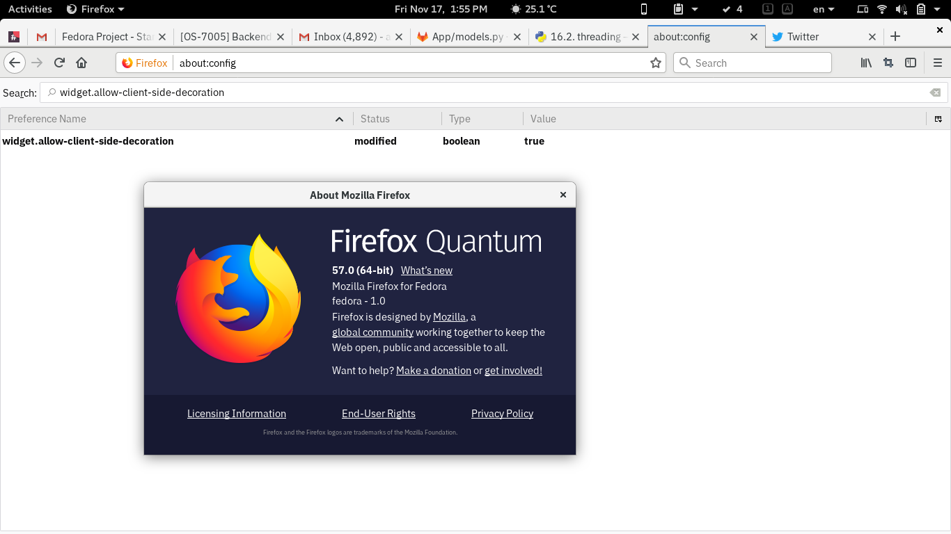 带客户端装饰的 Firefox